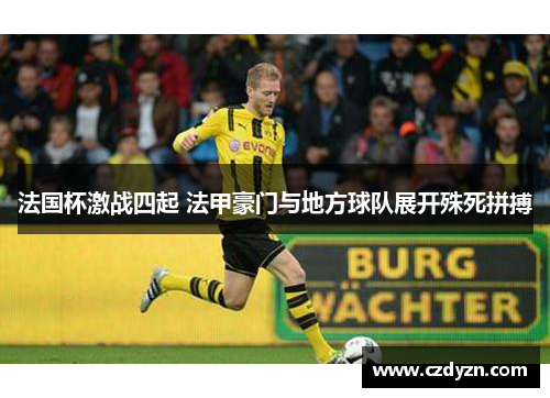 法国杯激战四起 法甲豪门与地方球队展开殊死拼搏